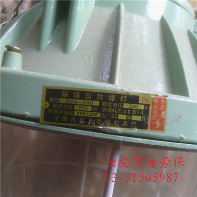 安佳防爆應急燈與相關(guān)消防器材全解析